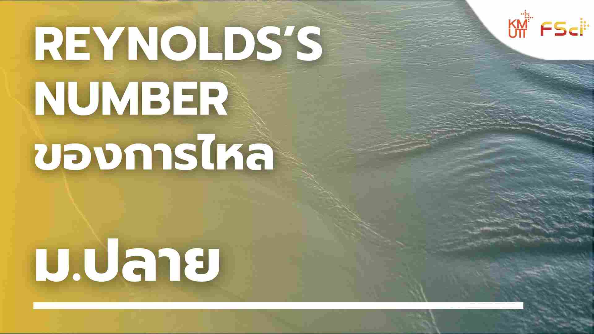 Reynolds’s number ของการไหล – ม.ปลาย