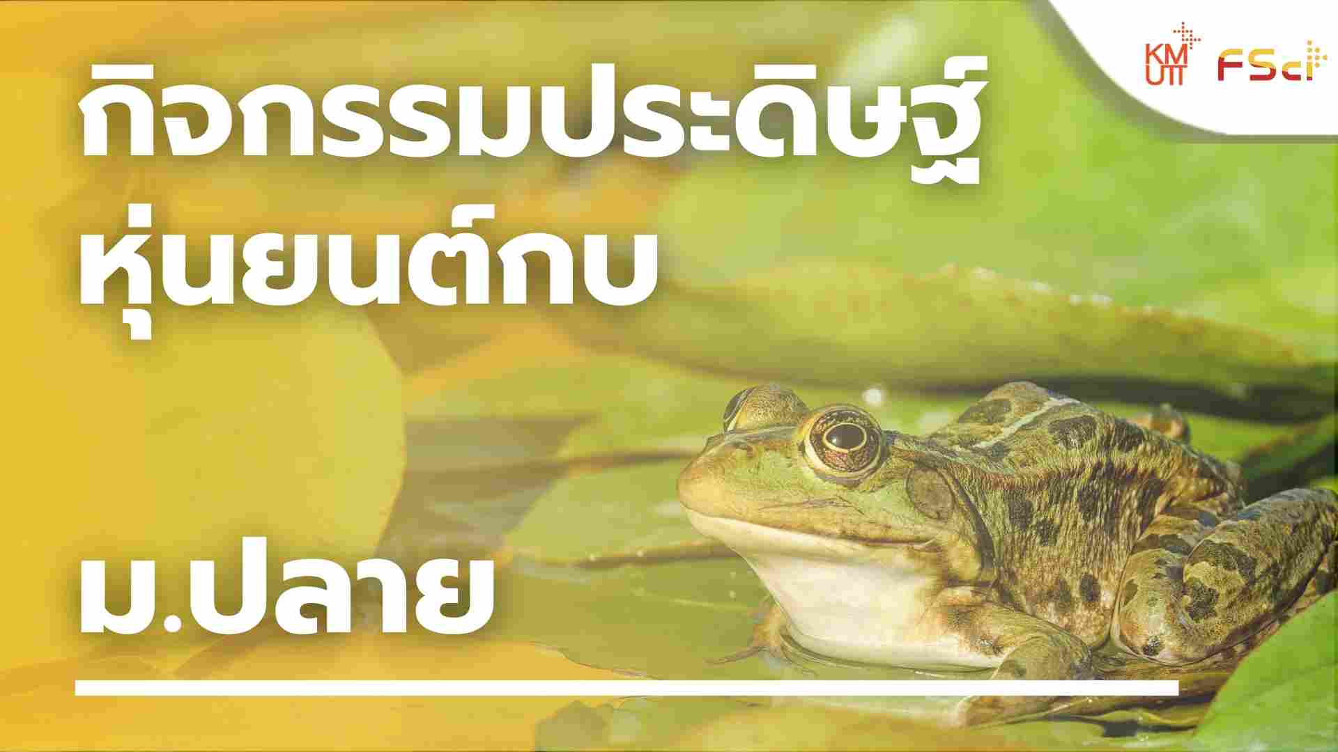 กิจกรรมประดิษฐ์หุ่นยนต์กบ – ม.ปลาย