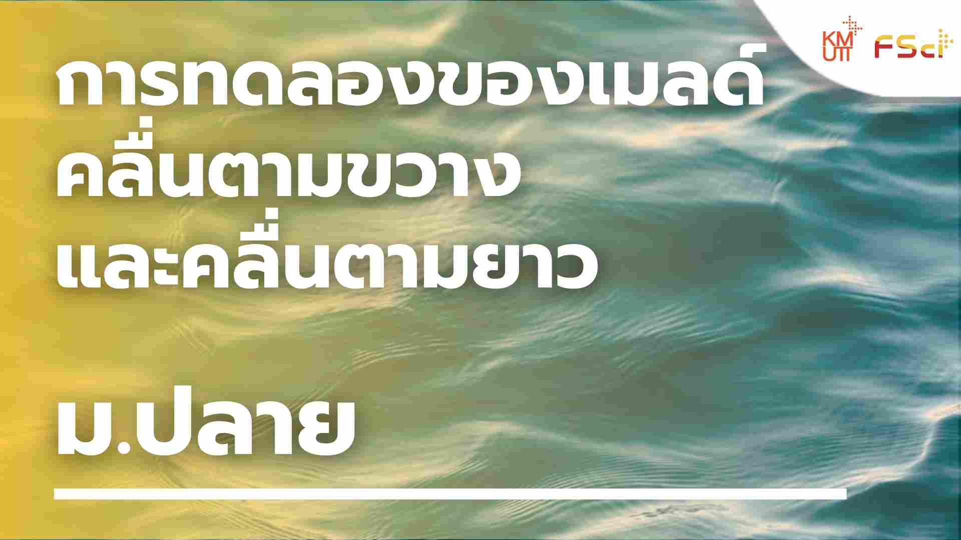 การทดลองของเมลด์ คลื่นตามขวาง และคลื่นตามยาว  – ม.ปลาย