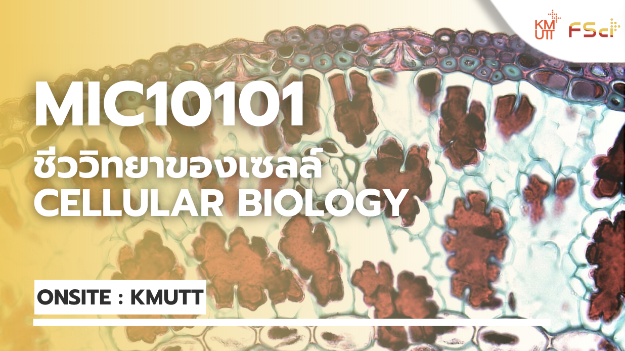 ชีววิทยาของเซลล์ (CELLULAR BIOLOGY)