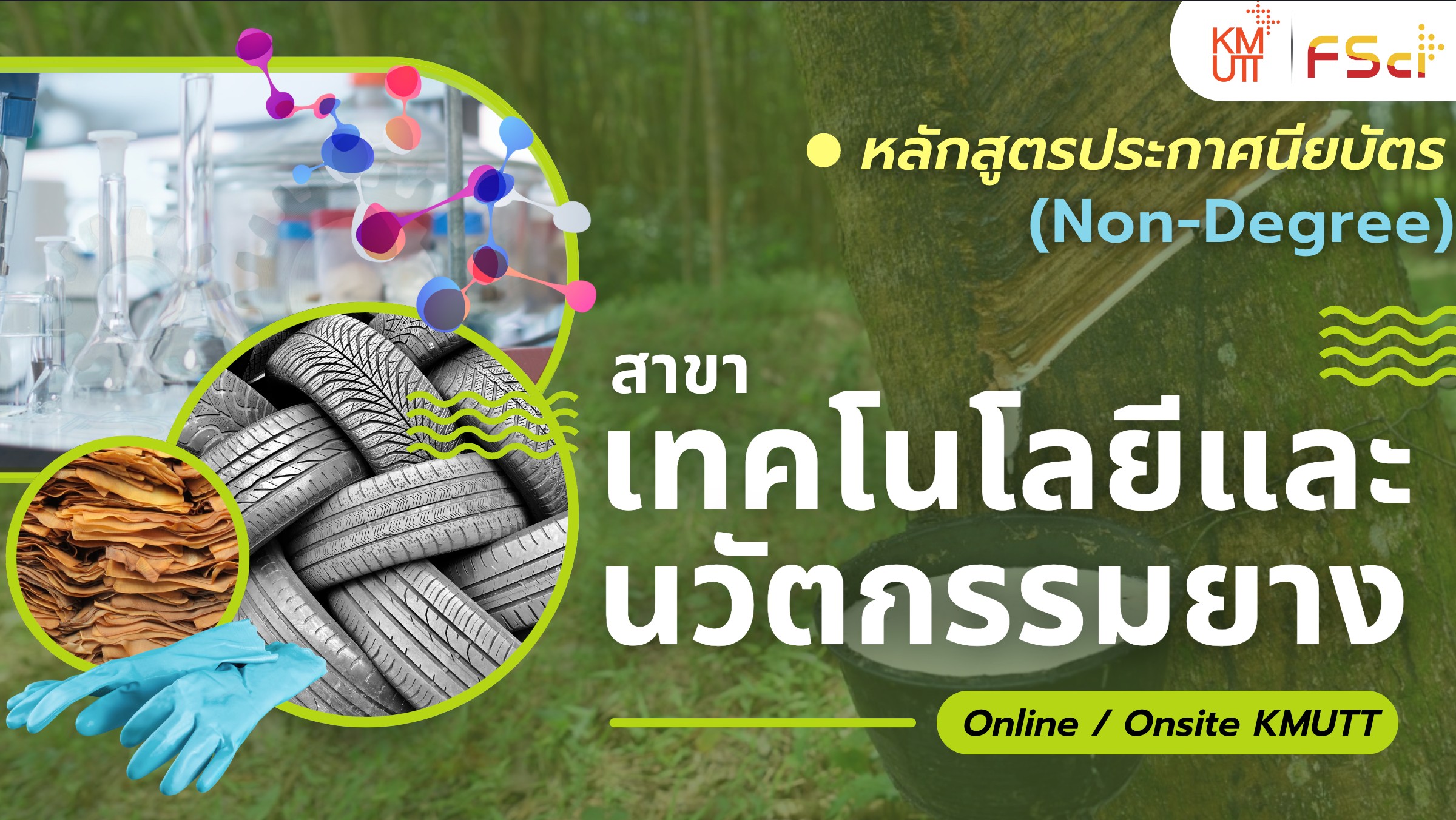 เทคโนโลยีและนวัตกรรมยาง